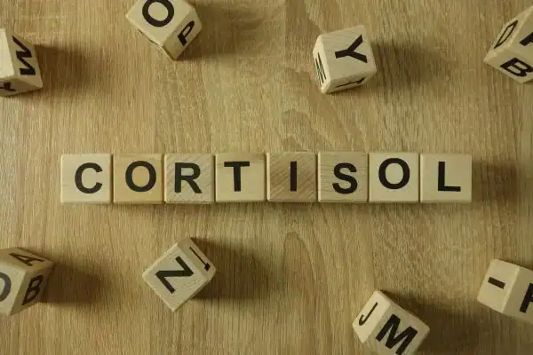 The Hidden Connection: How Stress Shapes Your Fitness and Body Composition 2 Image saying "Cortisol" and how stress Sunbury-on-Thames impacts your wellbeing and bodies shape